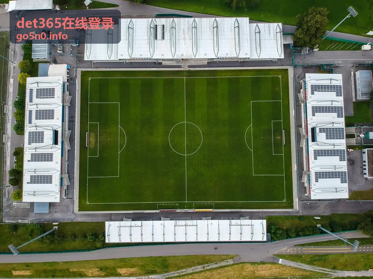 det365在线登录 登录流程指南封面